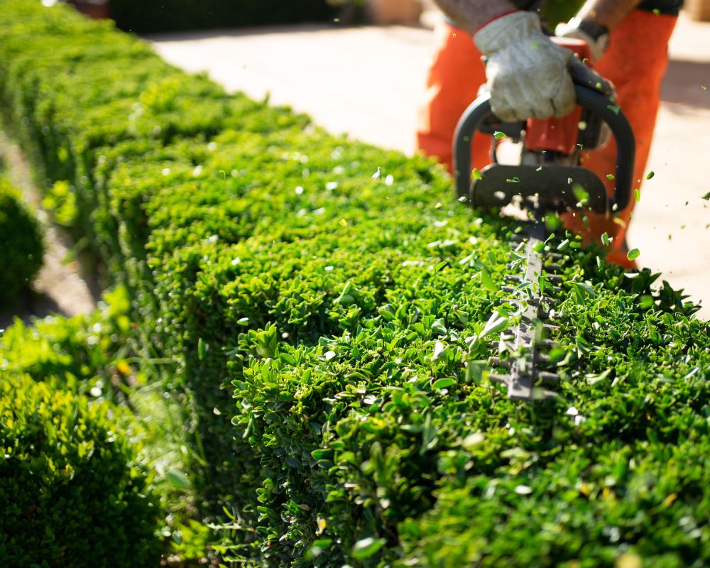 Hedge Trimming Gloucester